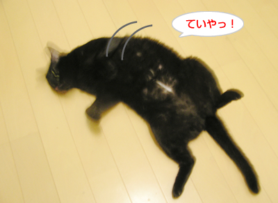 照れ屋一家_a0389088_17121693.jpg