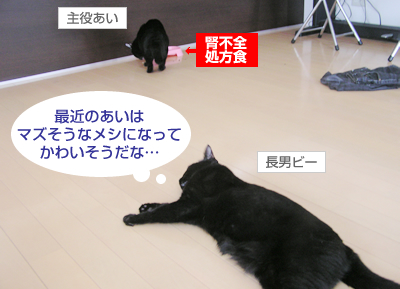 グルメな猫?の処方食♪_a0389088_17123302.jpg