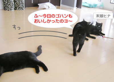 グルメな猫?の処方食♪_a0389088_17123334.jpg