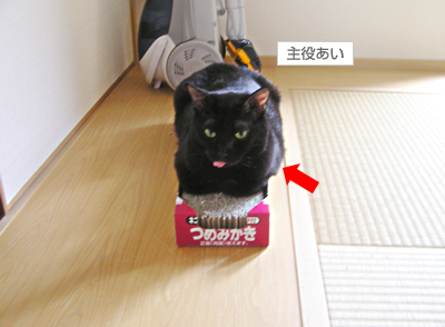 無敵のラブパワー!_a0389088_17124247.jpg