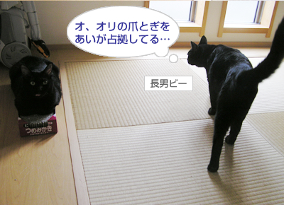 無敵のラブパワー!_a0389088_17124300.jpg