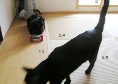 無敵のラブパワー!_a0389088_17124319.jpg