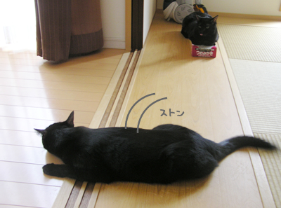 無敵のラブパワー!_a0389088_17124367.jpg