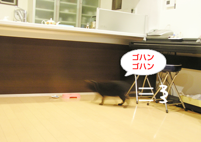 戻ってきた食欲…!_a0389088_17124408.jpg