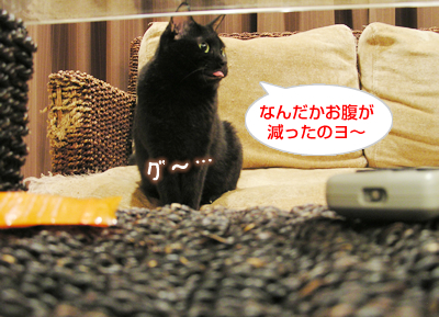 戻ってきた食欲…!_a0389088_17124424.jpg