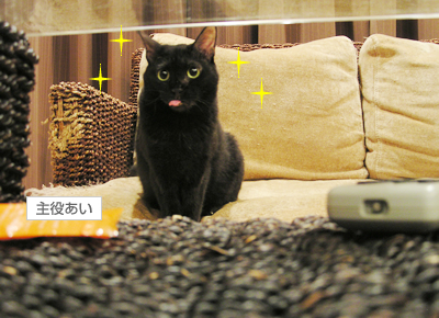 戻ってきた食欲…!_a0389088_17124482.jpg