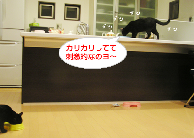 戻ってきた食欲…!_a0389088_17124489.jpg