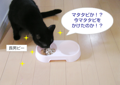 おいしい!?サプリメントレポート(その1)_a0389088_17124967.jpg