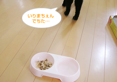 おいしい!?サプリメントレポート(その1)_a0389088_17124982.jpg