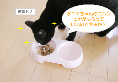 おいしい!?サプリメントレポート(その1)_a0389088_17124983.jpg