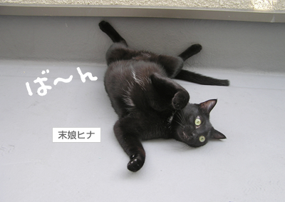 「腹見せダンス」とリラックス_a0389088_17125040.jpg