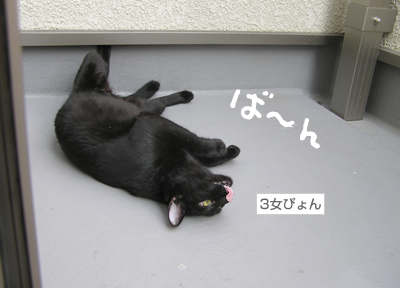 「腹見せダンス」とリラックス_a0389088_17125073.jpg