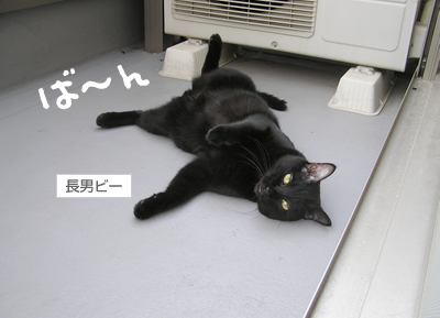 「腹見せダンス」とリラックス_a0389088_17125126.jpg