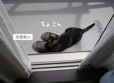 「腹見せダンス」とリラックス_a0389088_17125149.jpg