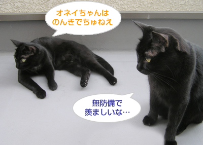 「腹見せダンス」とリラックス_a0389088_17125155.jpg