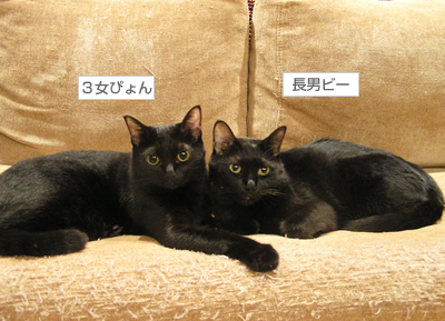顔デカ王の憂い…_a0389088_17130236.jpg