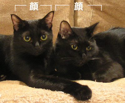 顔デカ王の憂い…_a0389088_17130251.jpg