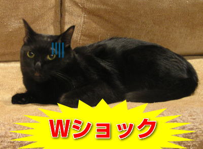 顔デカ王の憂い…_a0389088_17130308.jpg