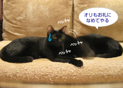 顔デカ王の憂い…_a0389088_17130318.jpg