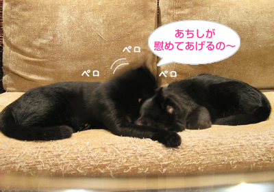 顔デカ王の憂い…_a0389088_17130333.jpg