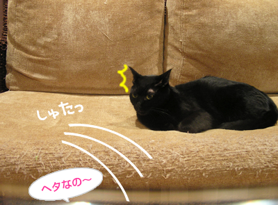 顔デカ王の憂い…_a0389088_17130337.jpg
