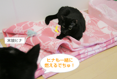 仲良し姉妹はぬっくぬく♪_a0389088_17130410.jpg