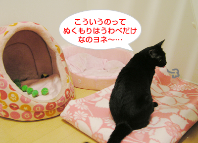 仲良し姉妹はぬっくぬく♪_a0389088_17130439.jpg