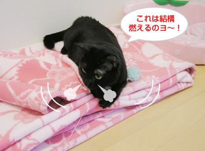 仲良し姉妹はぬっくぬく♪_a0389088_17130487.jpg