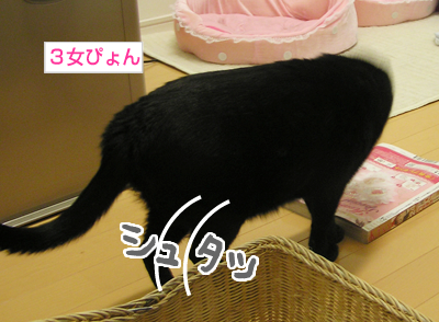 ああ無情…_a0389088_17140935.jpg