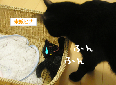 ああ無情…_a0389088_17140978.jpg