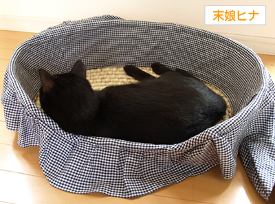 広いお空は誰のもの…?_a0389088_17172540.jpg