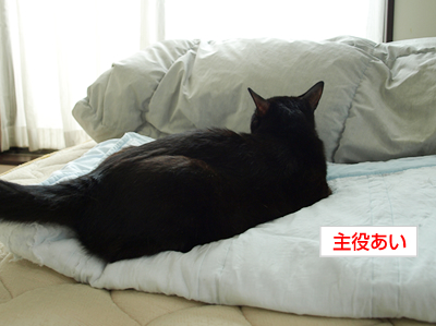 「自由」より_a0389088_17172667.jpg