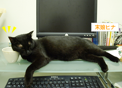 猫の寝相_a0389088_17172724.jpg