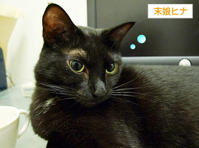 猫の寝相_a0389088_17172746.jpg