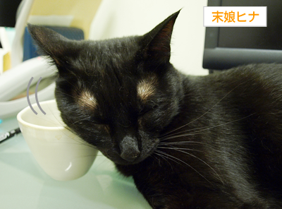 猫の寝相_a0389088_17172781.jpg