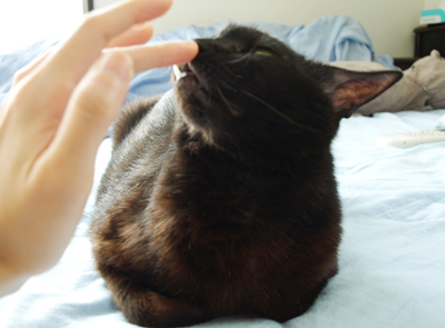 スキスキ!スキンシップ♪_a0389088_17173151.jpg