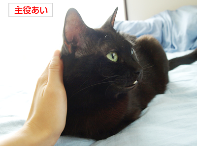 スキスキ!スキンシップ♪_a0389088_17173153.jpg