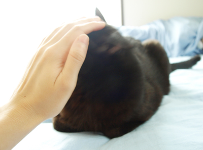 スキスキ!スキンシップ♪_a0389088_17173280.jpg