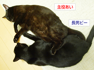 ああ勘違い_a0389088_17173319.jpg