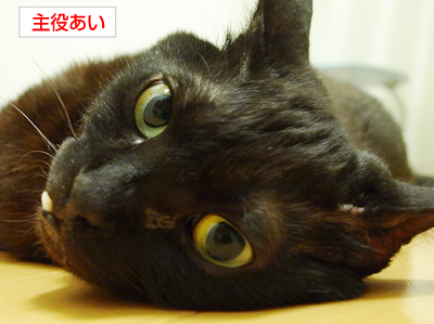 ああ勘違い_a0389088_17173326.jpg