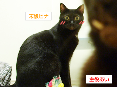 ああ勘違い_a0389088_17173335.jpg