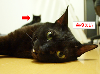 ああ勘違い_a0389088_17173355.jpg