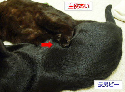 ああ勘違い_a0389088_17173462.jpg