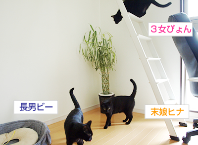 みどり色の家族誕生_a0389088_17173641.jpg
