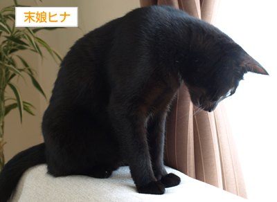 教育のモットーは「信じること」_a0389088_17175807.jpg