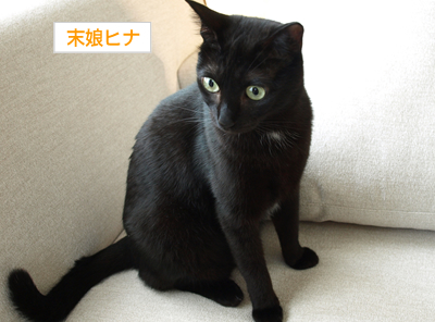 教育のモットーは「信じること」_a0389088_17175877.jpg
