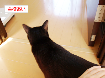 もみもみ_a0389088_17180012.jpg