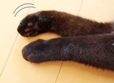 もみもみ_a0389088_17180030.jpg