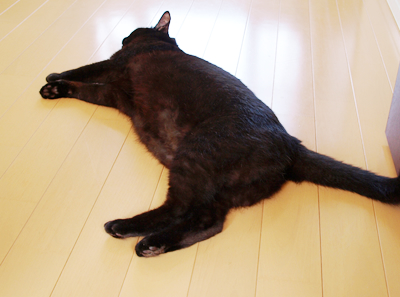 もみもみ_a0389088_17180066.jpg