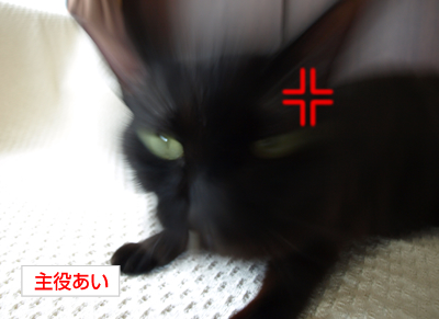 ドラえもんの暴挙_a0389088_17180109.jpg